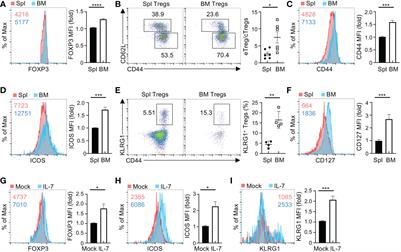 BATF sustains homeostasis and functionality of bone marrow Treg cells to preserve homeostatic regulation of hematopoiesis and development of B cells